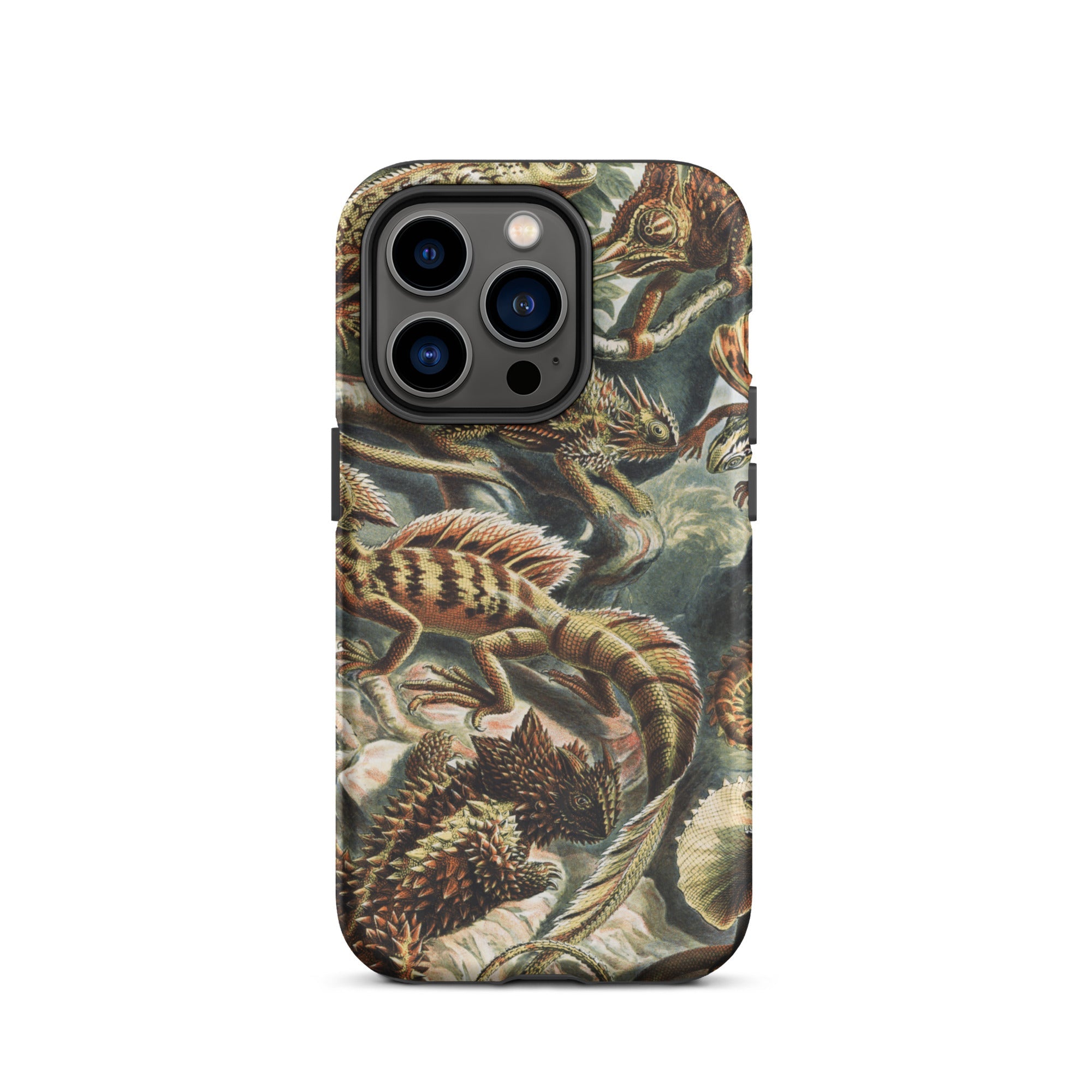 Lacertilia - Ernst Haeckel Lizard Taxonomy Iphone Case, 14 Pro / Matte, Lizard-patterned Phone Case