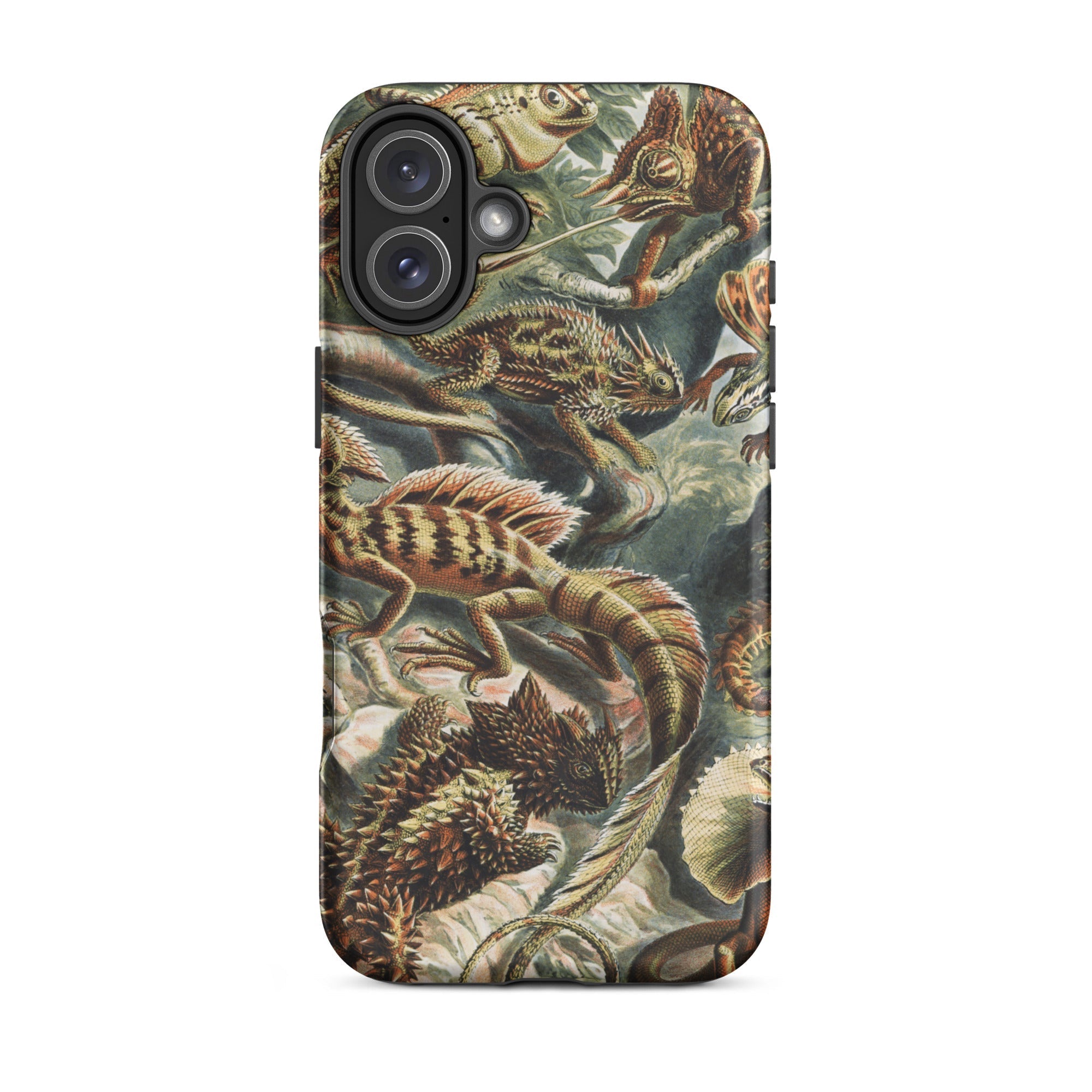 Lacertilia Ernst Haeckel Lizard Taxonomy Iphone Case, 16 Plus / Matte, Lizard Patterned Phone Case