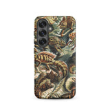 Lacertilia - Ernst Haeckel Lizard Taxonomy Samsung Case, Galaxy S25 / Matte, Phone Case Detailed Vintage-style Illustration Lizards