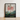 Framed Botanical Illustration Tall Slender Tree Vibrant Red Robert John Thornton, Large-flowering Sensitive Plant, Thornton’s