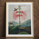 Large Flowering Sensitive Plant - Robert John Thornton Art Print / Canvas, 24x32’’ / 61x81cm / Natural Frame / Matboard, Posters Prints &