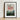 Framed Botanical Illustration Vibrant Red Feathery Flower Two Robert John Thornton, Large-flowering Sensitive Plant, Thornton’s