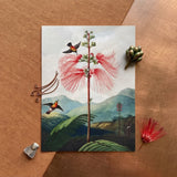 Large Flowering Sensitive Plant - Robert John Thornton Art Print / Canvas Rectangular Art Print Vibrant Pink Feathery Flower Two Robert