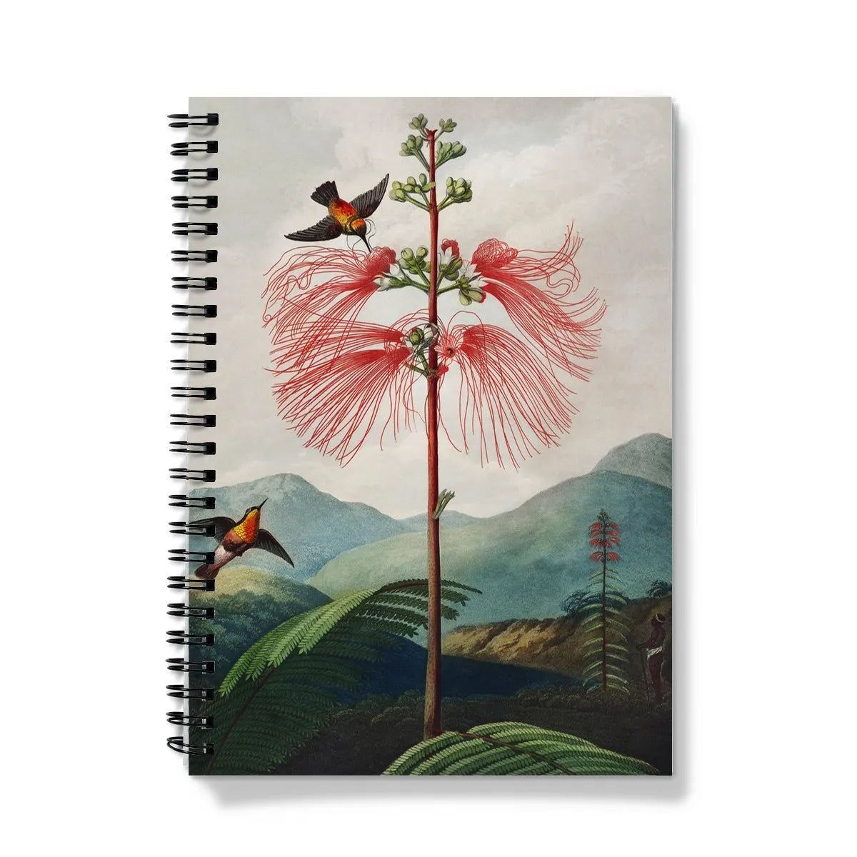 Large Flowering Sensitive Plant By Robert John Thornton Notebook - A5 / Graph - Notebooks & Notepads - Aesthetic Art