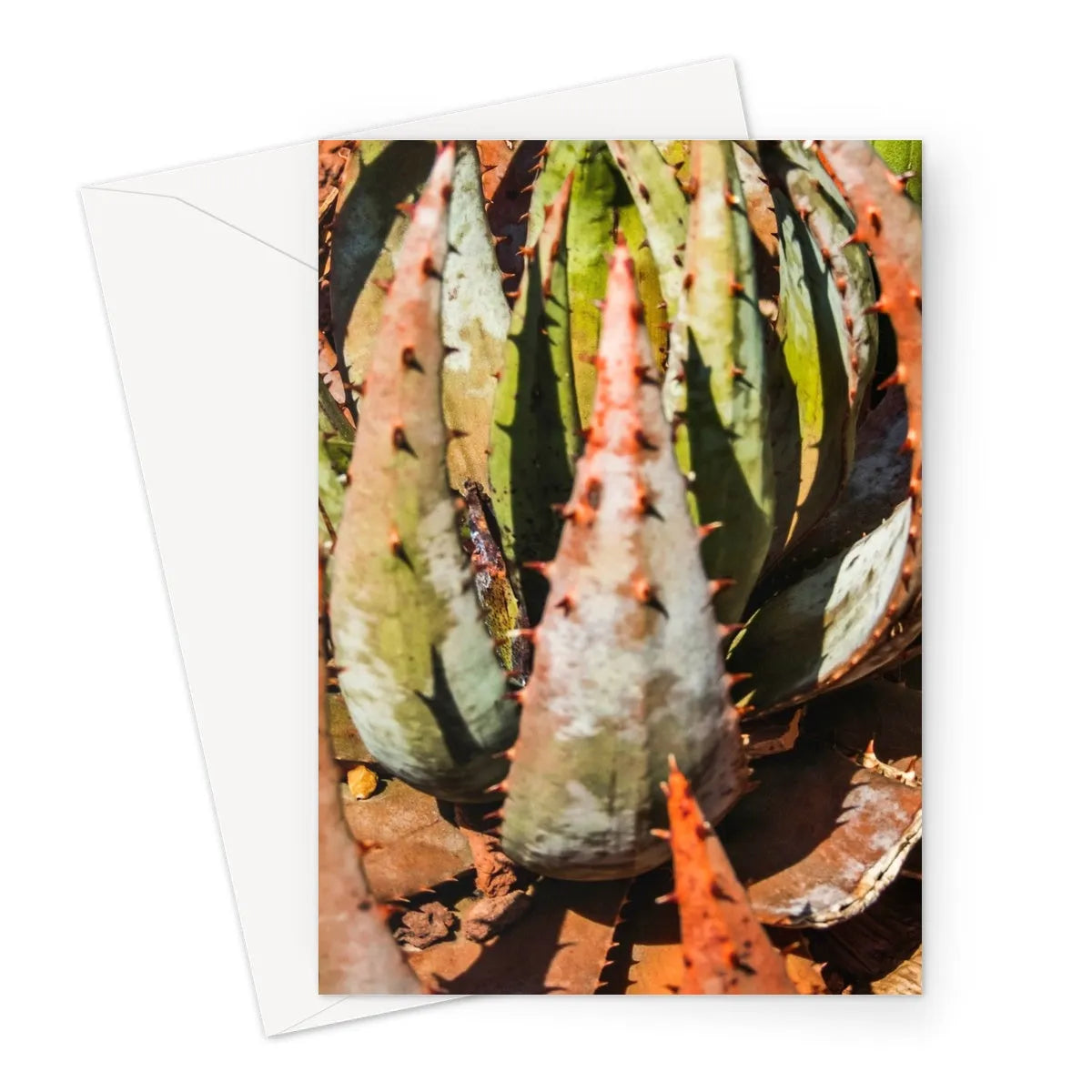 Layer Cake - Modern Botanical Succulent Art Greeting Card - A5 Portrait / 1 Card - Greeting & Note Cards - Aesthetic Art