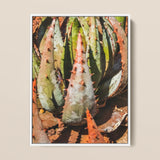 Layer Cake - Modern Botanical Succulent Art Print / Canvas, 12x16’’ / 31x41cm / White Frame, Posters Prints & Visual Artwork, Toby Leon