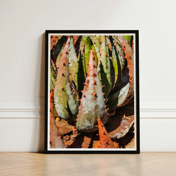 Black-framed Art Print Close-up Photograph Spiky Green Orange-hued Contemporary Botanical Artistry, Modern Succulent