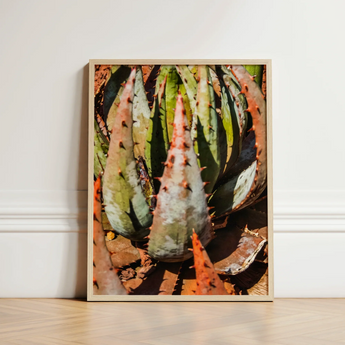 Framed Photograph Spiky Green Reddish-orange Succulent Plant Encased Contemporary Botanical Artistry, Modern, Art