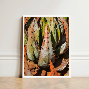 Framed Photograph Spiky Green Reddish-orange Succulent Plant Contemporary Botanical Artistry, Modern, Art