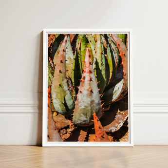 White-framed Print Close-up Photograph Spiky Green Orange-hued Succulent Contemporary Botanical Artistry, Modern, Art