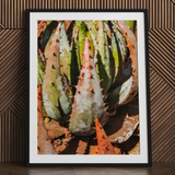 Layer Cake - Modern Botanical Succulent Art Print / Canvas Black-framed Art Print Close-up Photograph Spiky Green Reddish-orange