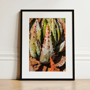 Layer Cake - Modern Botanical Succulent Art Print / Canvas Black-framed Art Print Close-up Spiky Green Reddish-orange Succulent