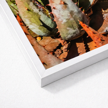 White Framed Photograph Close-up Spiky Green Orange Succulent Contemporary Botanical Artistry, Modern, Art