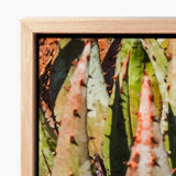 Framed Canvas Print Close-up Spiky Green Pinkish Succulent Contemporary Botanical Artistry, Modern, Art