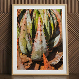 Layer Cake - Modern Botanical Succulent Art Print / Canvas Framed Photograph Spiky Green Orange Aloe Vera Plants Contemporary Botanical