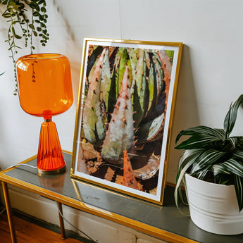 Layer Cake - Modern Botanical Succulent Art Print, Framed Artwork Colorful Succulent Plant Wall