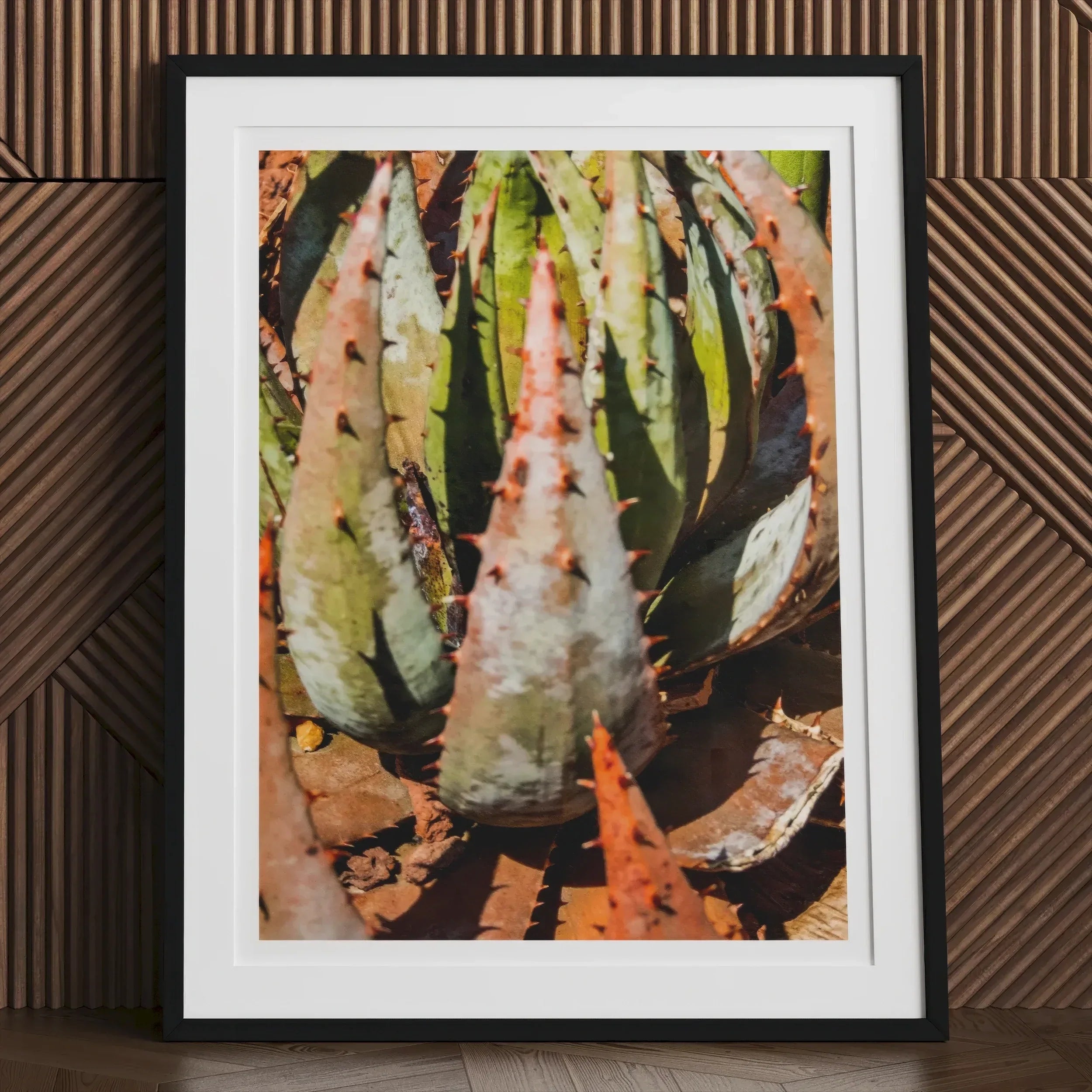 Layer Cake Modern Botanical Succulent Art Print, Framed Photograph Colorful Agave Aloe Plant Leaves Spiky