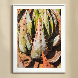 Layer Cake - Modern Botanical Succulent Art Print, Framed Botanical Photograph Spiky Succulent Plant Green Pink-tinged