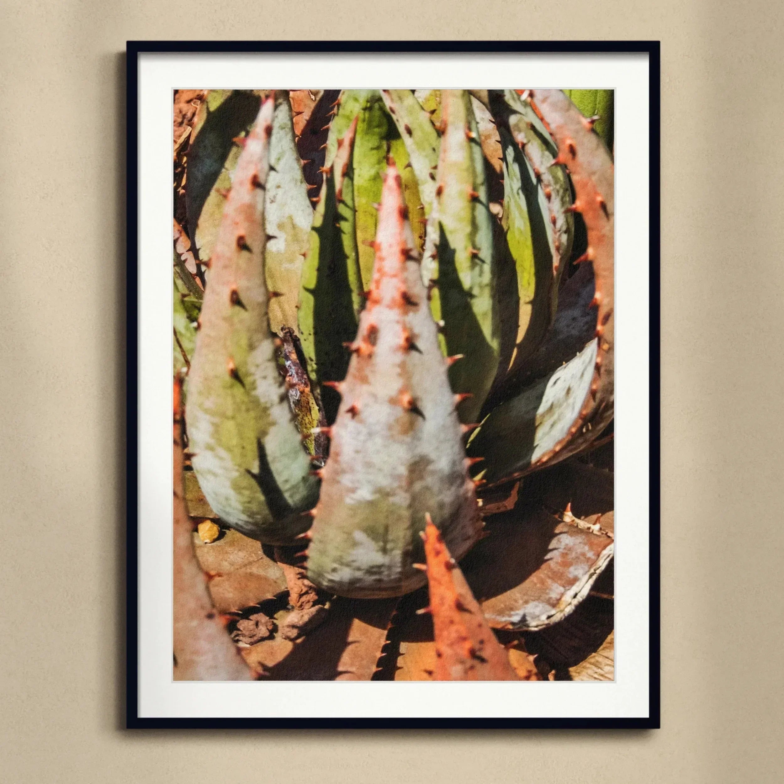 Layer Cake - Modern Botanical Succulent Art Print, Spiky Succulent Plant Mottled Green Pink