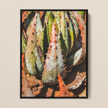 Layer Cake - Modern Succulent Framed Canvas, Succulent Plant Elongated Leaves Muted Green Pink Tones