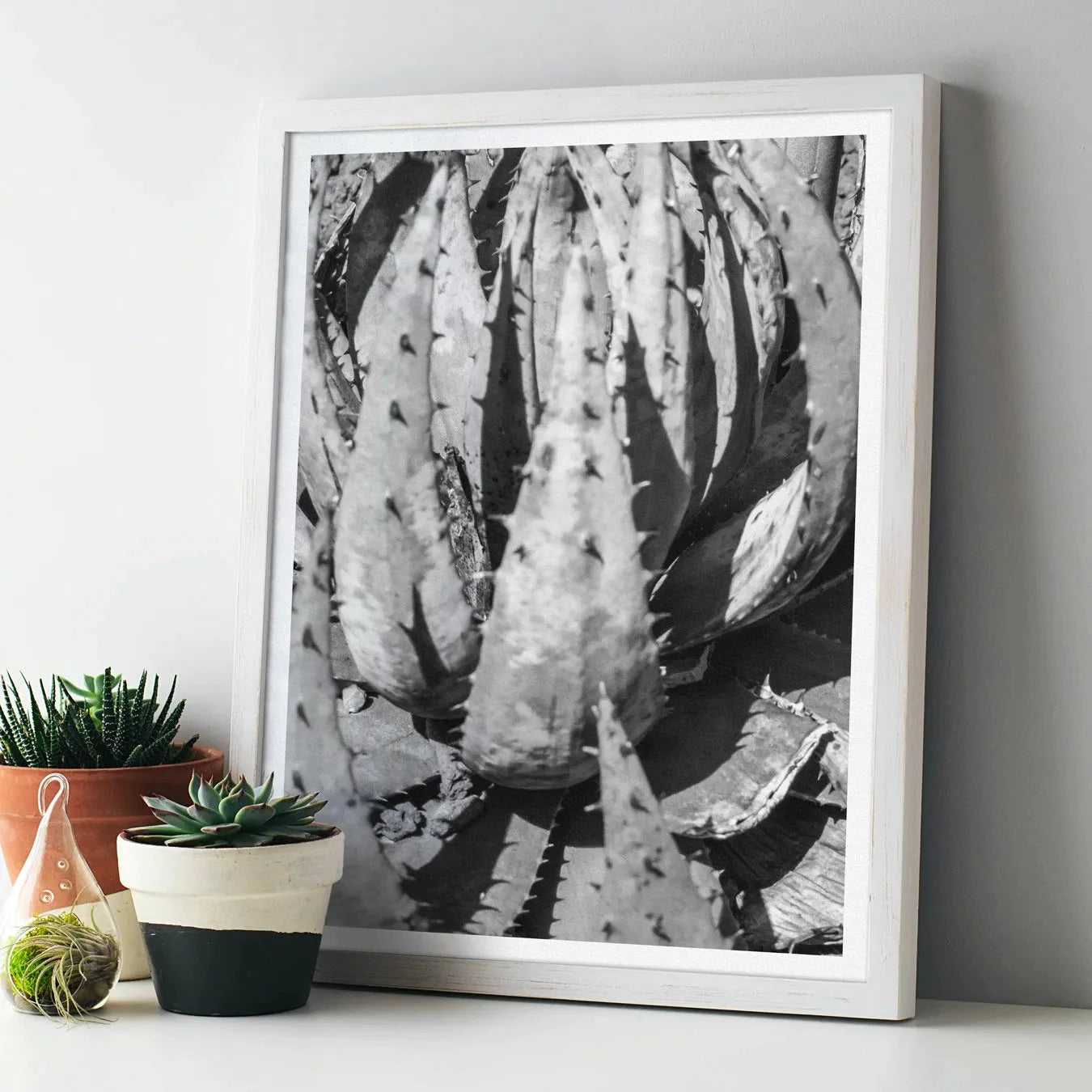 Layer Cake - Succulent black And White Wall Art - 8×10 - Posters Prints & Visual Artwork - Aesthetic Art