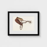 Leather Spur - Vera Van Voris 1930s Farmhouse Art Print / Canvas, Prints