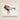 Detailed Watercolor Painting Vintage-style Horse Spur Brown Leather Vera Van Voris, 1930s, Farmhouse
