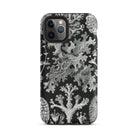 Lichenes Flechten Ernst Haeckel Iphone Case, 11 Pro / Matte, Botanical Patterned Phone Case
