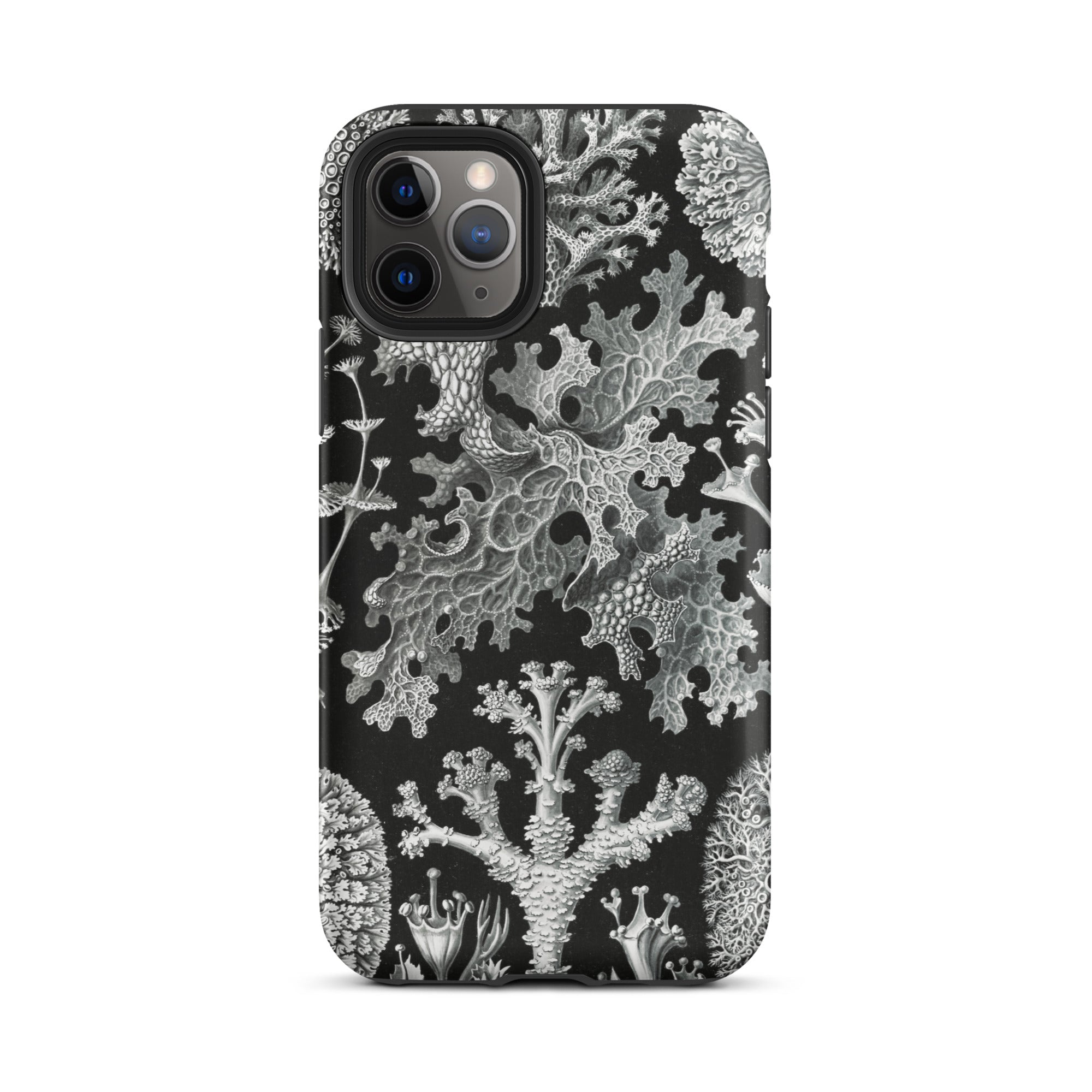 Lichenes Flechten Ernst Haeckel Iphone Case, 11 Pro / Matte, Botanical Patterned Phone Case