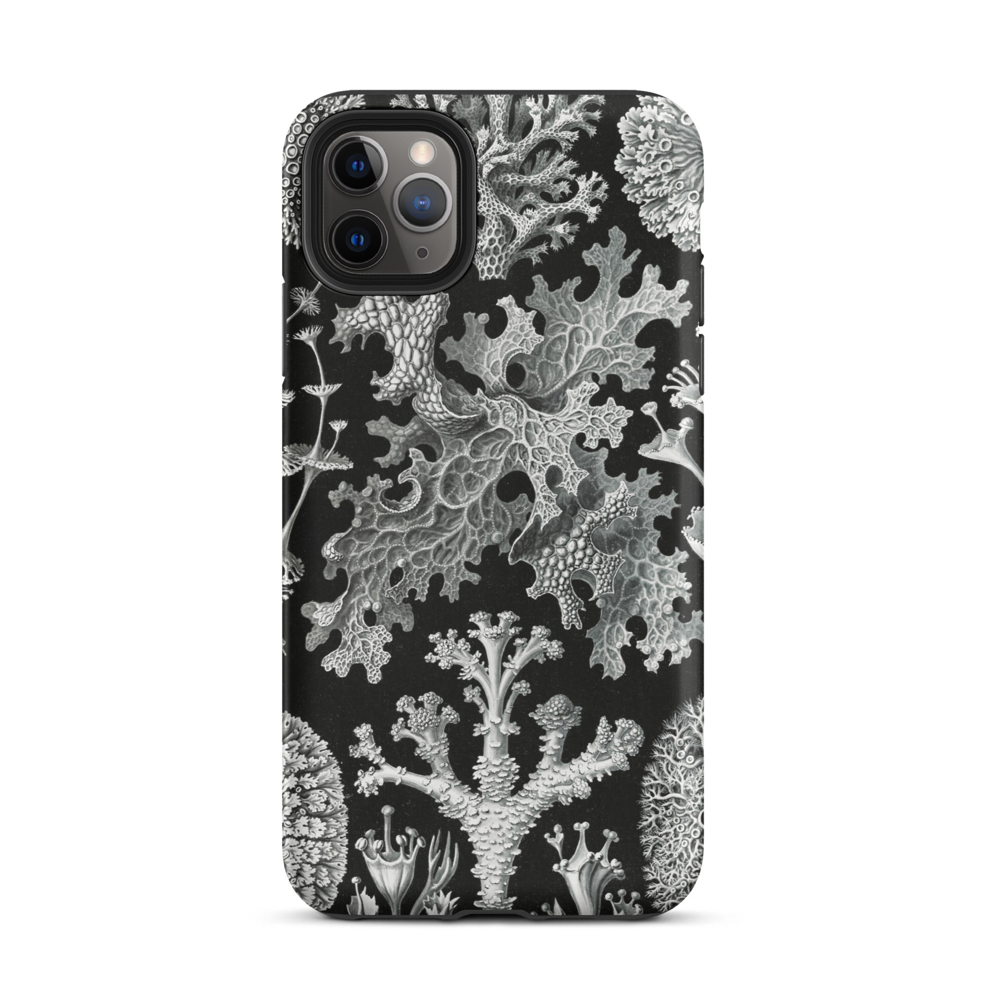 Lichenes Flechten Ernst Haeckel Iphone Case, 11 Pro Max / Matte, Black Phone Case Lichen Pattern