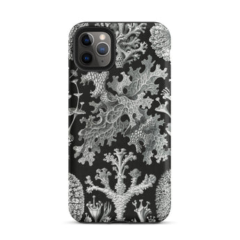 Lichenes Flechten - Ernst Haeckel Iphone Case, 11 Pro Max / Matte, Black Phone Case Lichen Pattern