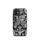 Lichenes Flechten - Ernst Haeckel Iphone Case, 12 Mini / Matte, Black Phone Case Lichen Pattern