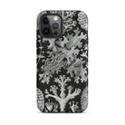 Lichenes Flechten Ernst Haeckel Iphone Case, 12 Pro Max / Matte, Black Phone Case Lichen Pattern