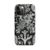Lichenes Flechten - Ernst Haeckel Iphone Case, 12 Pro Max / Matte, Black Phone Case Lichen Pattern