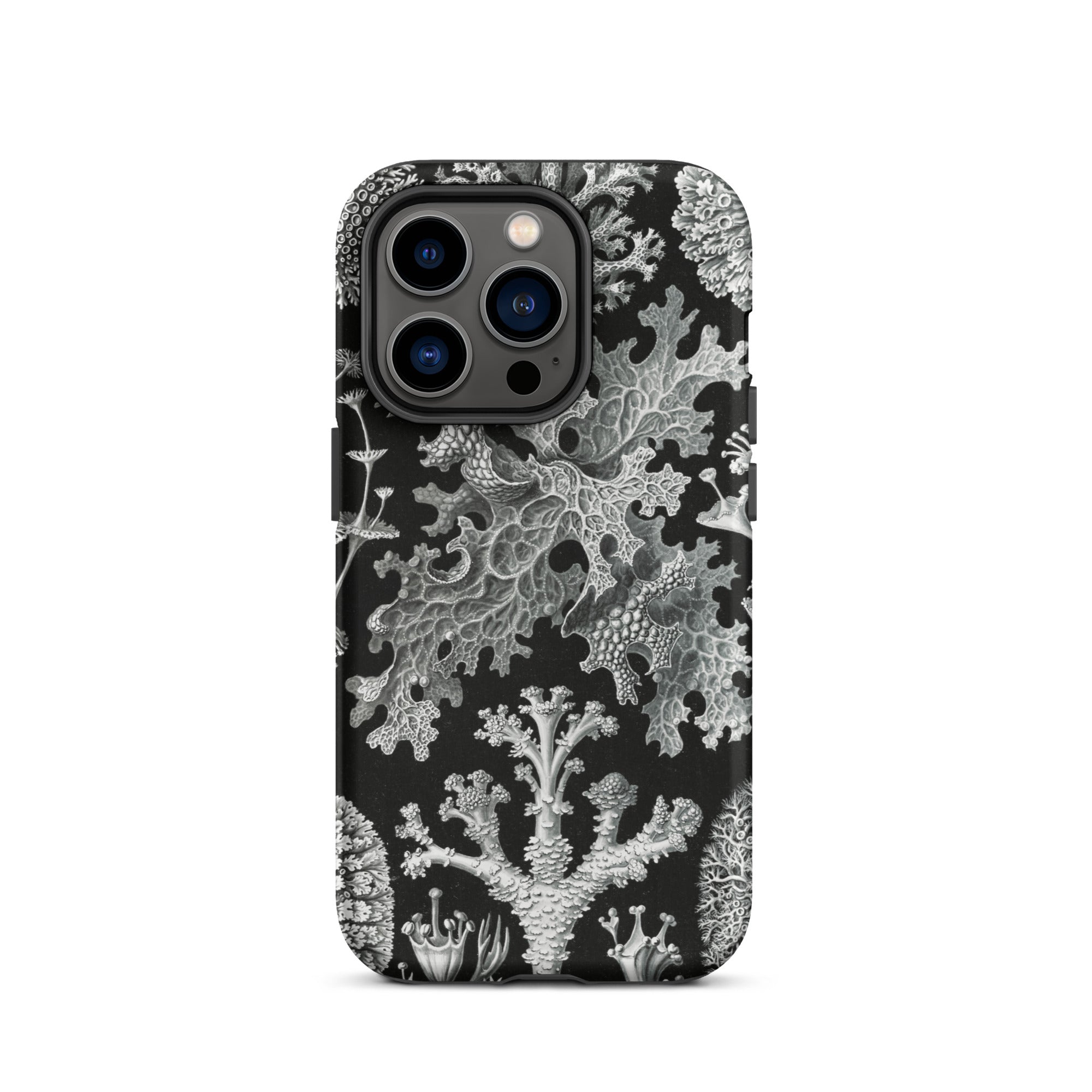 Lichenes Flechten Ernst Haeckel Iphone Case, 14 Pro / Matte, Black Phone Case Botanical Print