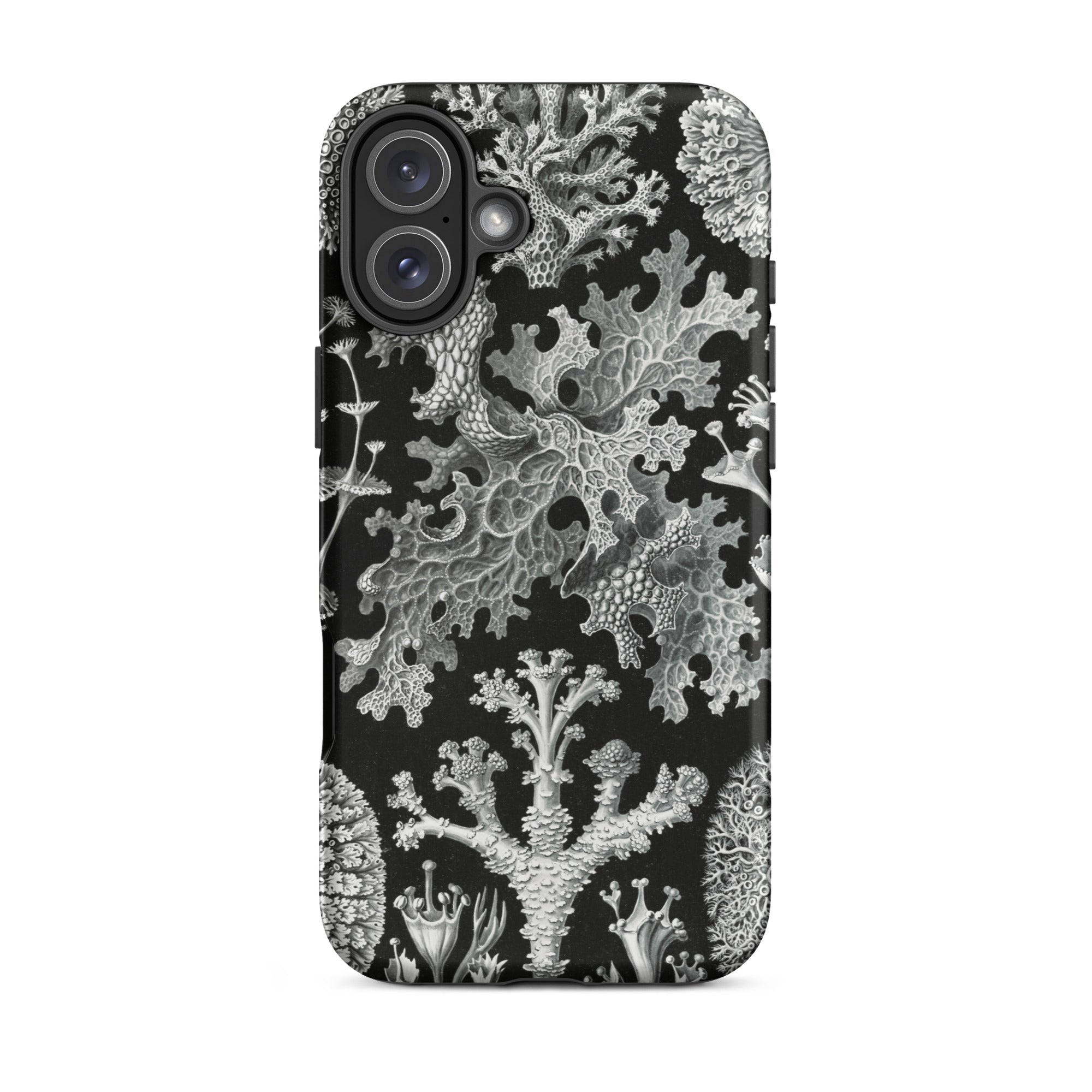 Lichenes Flechten Ernst Haeckel Iphone Case, 16 Plus / Matte, Botanical Print Phone Case