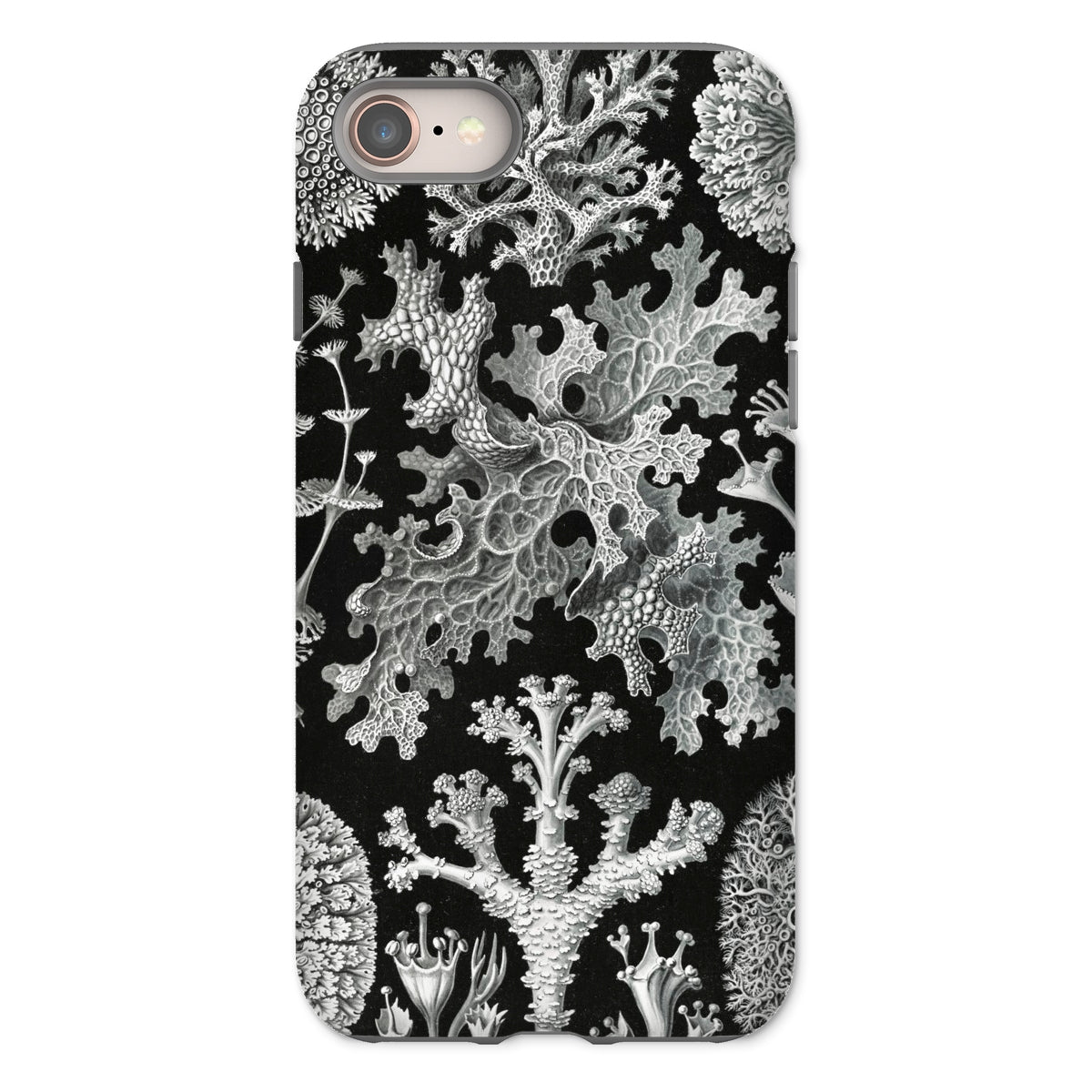 Lichenes Flechten Ernst Haeckel Iphone Case, 8 / Matte, Black Phone Case Lichen Pattern