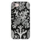 Lichenes Flechten Ernst Haeckel Iphone Case, 8 / Matte, Black Phone Case Lichen Pattern