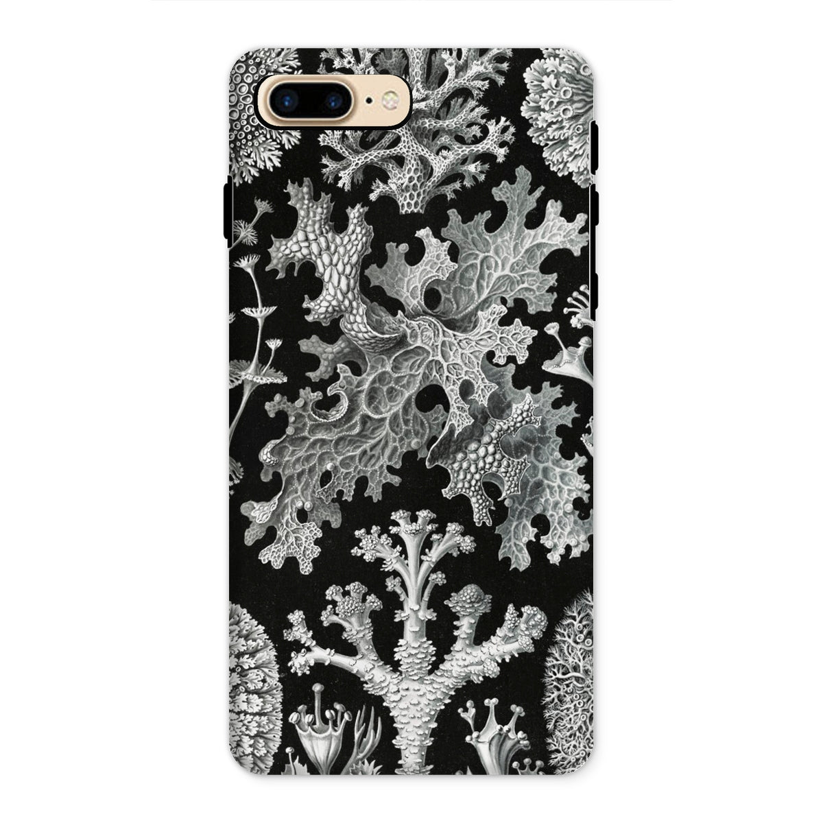 Lichenes Flechten Ernst Haeckel Iphone Case, 8 Plus / Matte, Black Phone Case White Coral Pattern