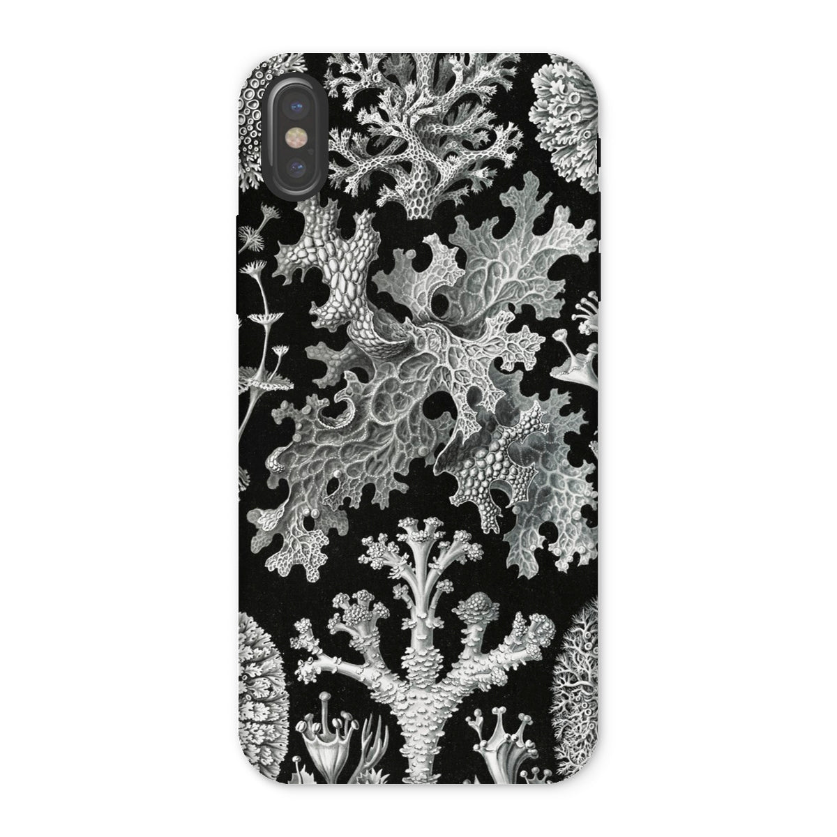 Lichenes Flechten Ernst Haeckel Iphone Case, x / Matte, Botanical Patterned Phone Case