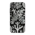 Lichenes Flechten Ernst Haeckel Iphone Case, x / Matte, Botanical Patterned Phone Case