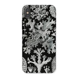 Lichenes Flechten - Ernst Haeckel Iphone Case, x / Matte, Botanical-patterned Phone Case