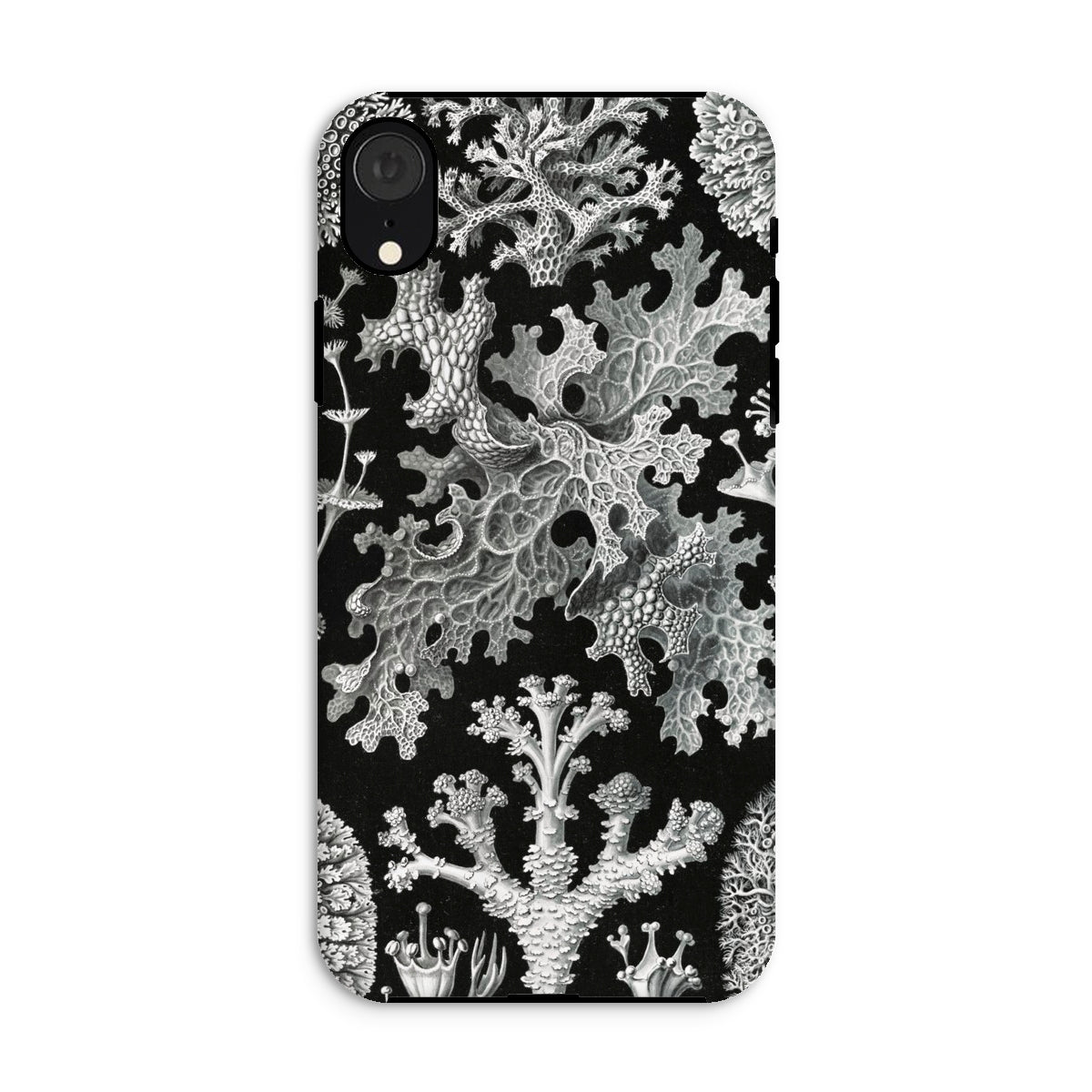 Lichenes Flechten Ernst Haeckel Iphone Case, Xr / Matte, Black Phone Case White Lichen Pattern