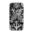 Lichenes Flechten Ernst Haeckel Iphone Case, Xr / Matte, Black Phone Case White Lichen Pattern