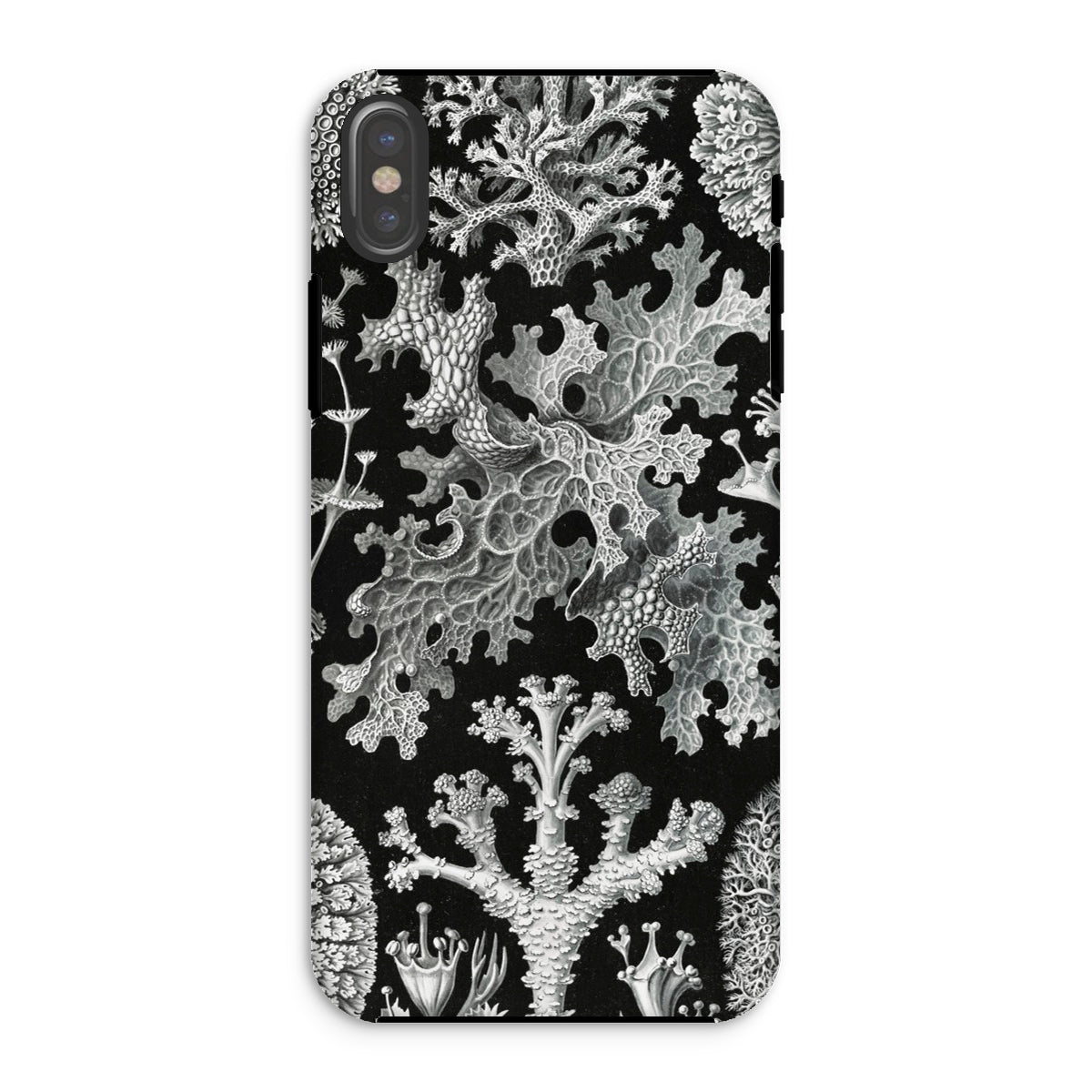 Lichenes Flechten Ernst Haeckel Iphone Case, Xs / Matte, Botanical Themed Phone Case