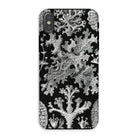 Lichenes Flechten Ernst Haeckel Iphone Case, Xs / Matte, Botanical Themed Phone Case