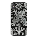 Lichenes Flechten - Ernst Haeckel Iphone Case, Xs / Matte, Botanical-themed Phone Case