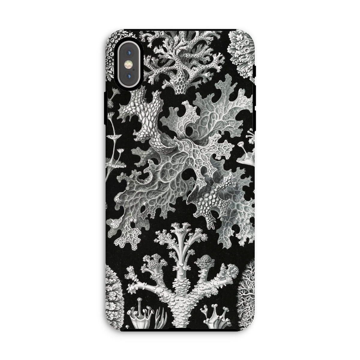 Lichenes Flechten Ernst Haeckel Iphone Case, Xs Max / Matte, Black Phone Case White Lichen Pattern