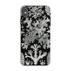 Lichenes Flechten Ernst Haeckel Iphone Case, Xs Max / Matte, Black Phone Case White Lichen Pattern