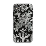 Lichenes Flechten - Ernst Haeckel Iphone Case, Xs Max / Matte, Black Phone Case White Lichen Pattern